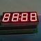 Verde estupendo pantalla LED del reloj de 0,56 pulgadas, exhibición común del ánodo 7