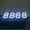 Segmento puro del dígito 7 de la exhibición 4 del reloj del verde LED para el contador de tiempo industrial