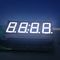 Exhibición ultra azul 0,56&quot; del reloj del LED, 4 exhibición de segmento llevada del dight 7 50.4*19*8M M