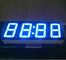 Exhibición común 0,56&quot; ultra azul del reloj del ánodo LED para el Withstand 120℃ del contador de tiempo del horno