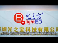 Display LED de dos dígitos de 7 segmentos personalizado