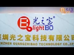 Barra de luz LED blanca ultrabrillante de 12 y 10 segmentos